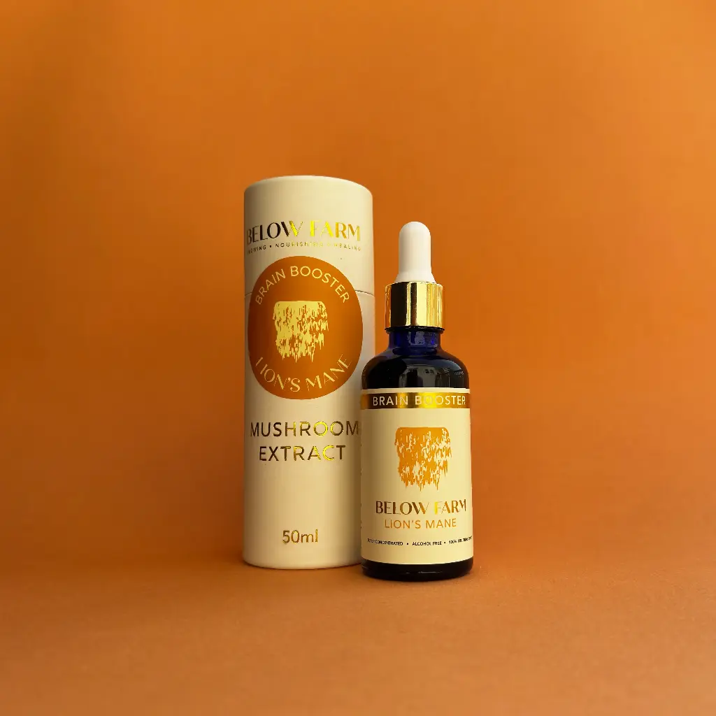 Lion's Mane Extract