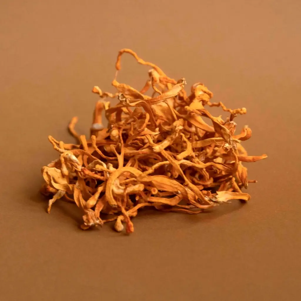 Dried Cordyceps Mushrooms
