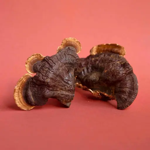 Dried Reishi Mushrooms