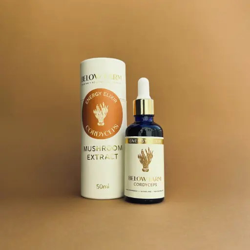 Cordyceps Extract