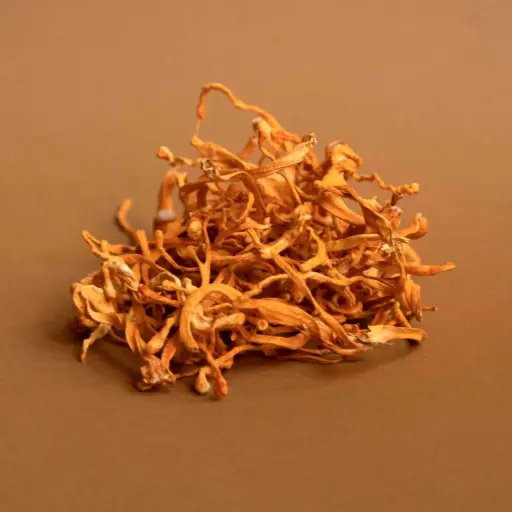 Dried Cordyceps Mushrooms